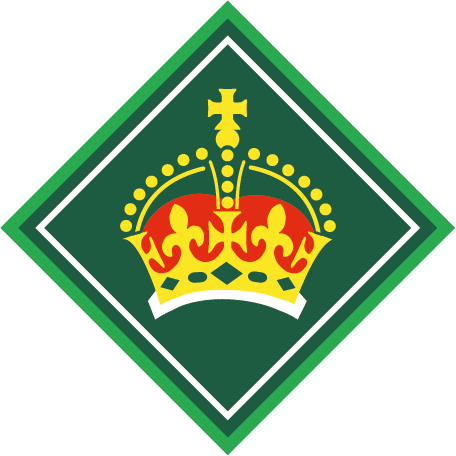 Kings Scout Award